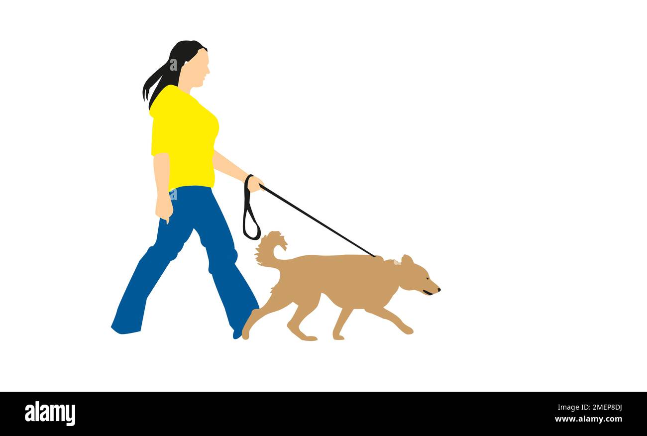 Woman walkng dog Stock Photo