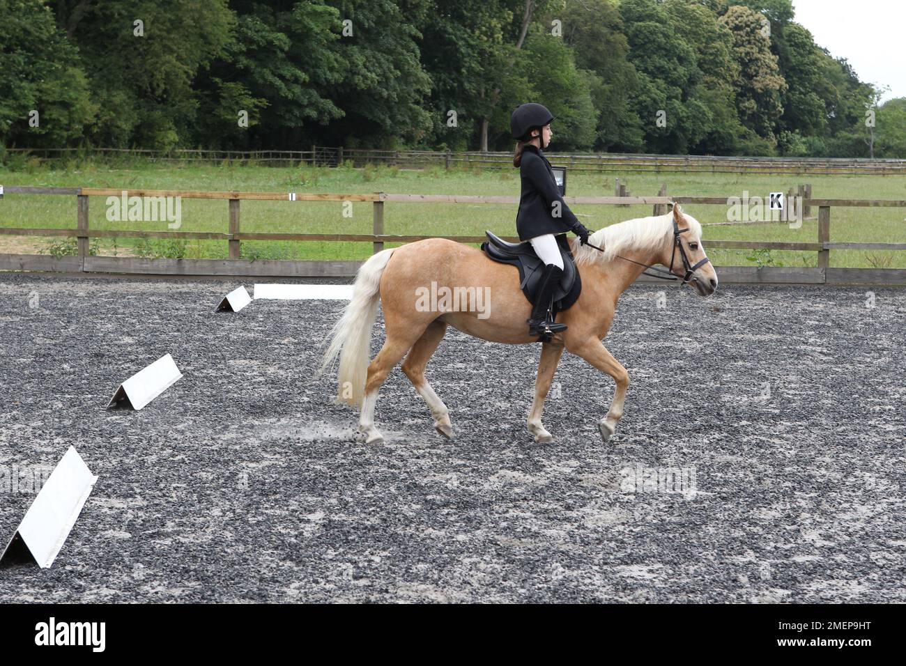 Girl riding palomino pony in paddock during dressage lesson, side view Stock Photo