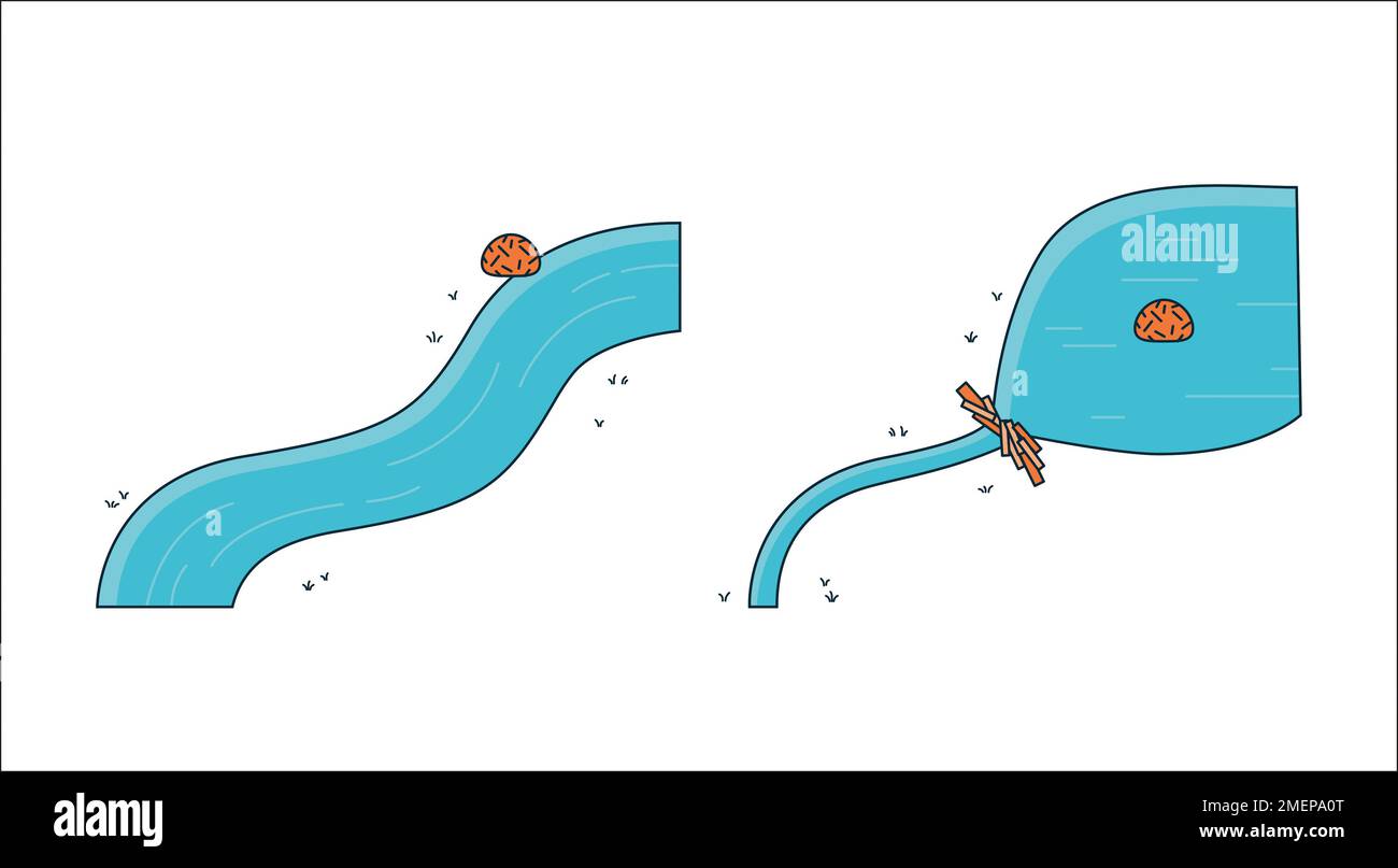 Illustration of beaver dam Stock Photo Alamy