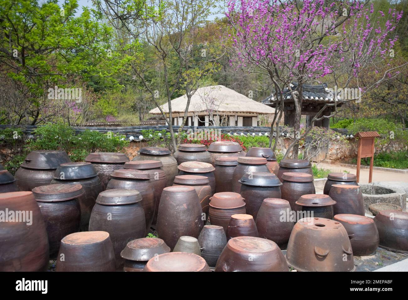 Korea Cooking Pots 