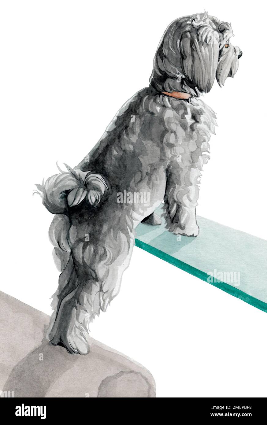 Digital poodle hires stock photography and images Alamy