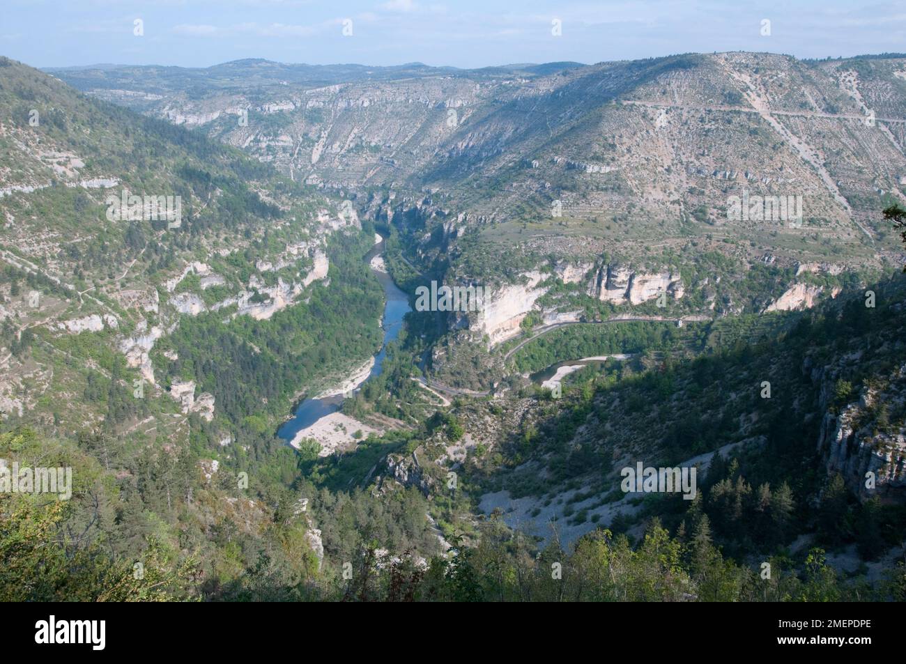 France, Languedoc-Roussillon, river Tarn gorge, Gorges du Tarn Stock Photo