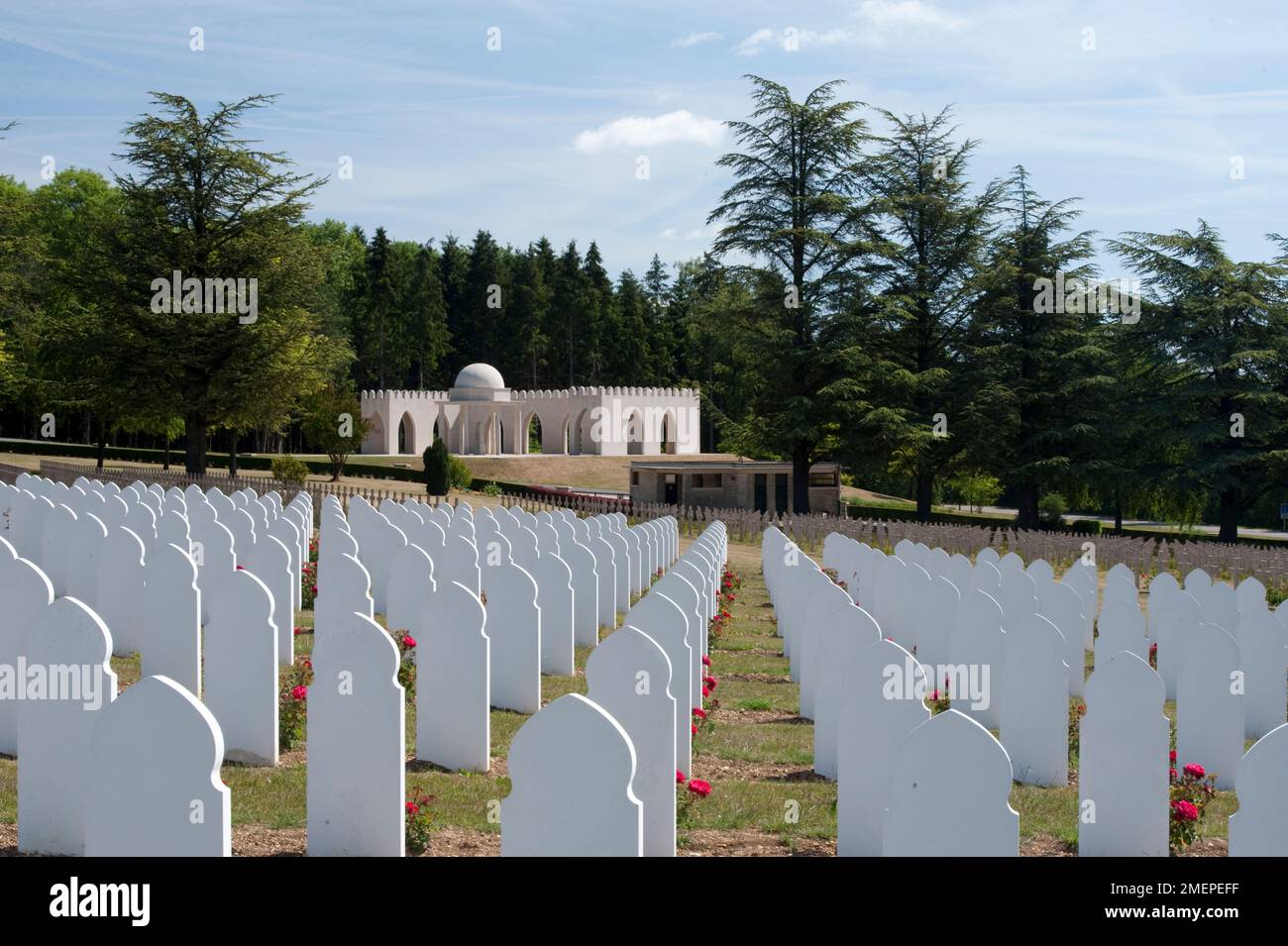 France, Lorraine, Meuse, Verdun, Douaumont Ossuary (L'ossuaire de Douaumont), rows of graves at war cemetery Stock Photo