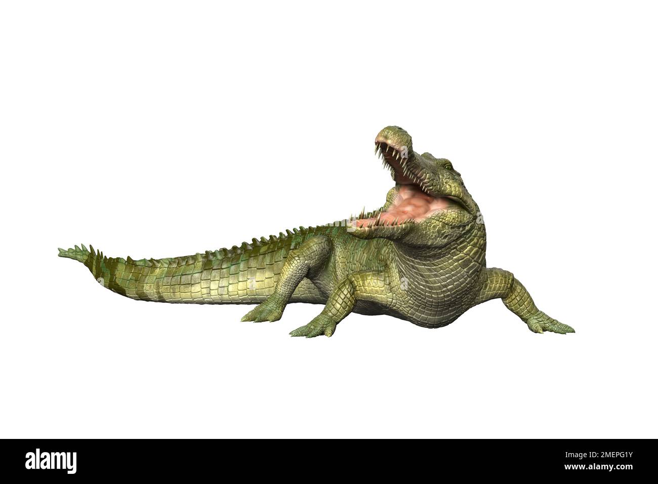 Deinosuchus  Dinosaurs - Pictures and Facts