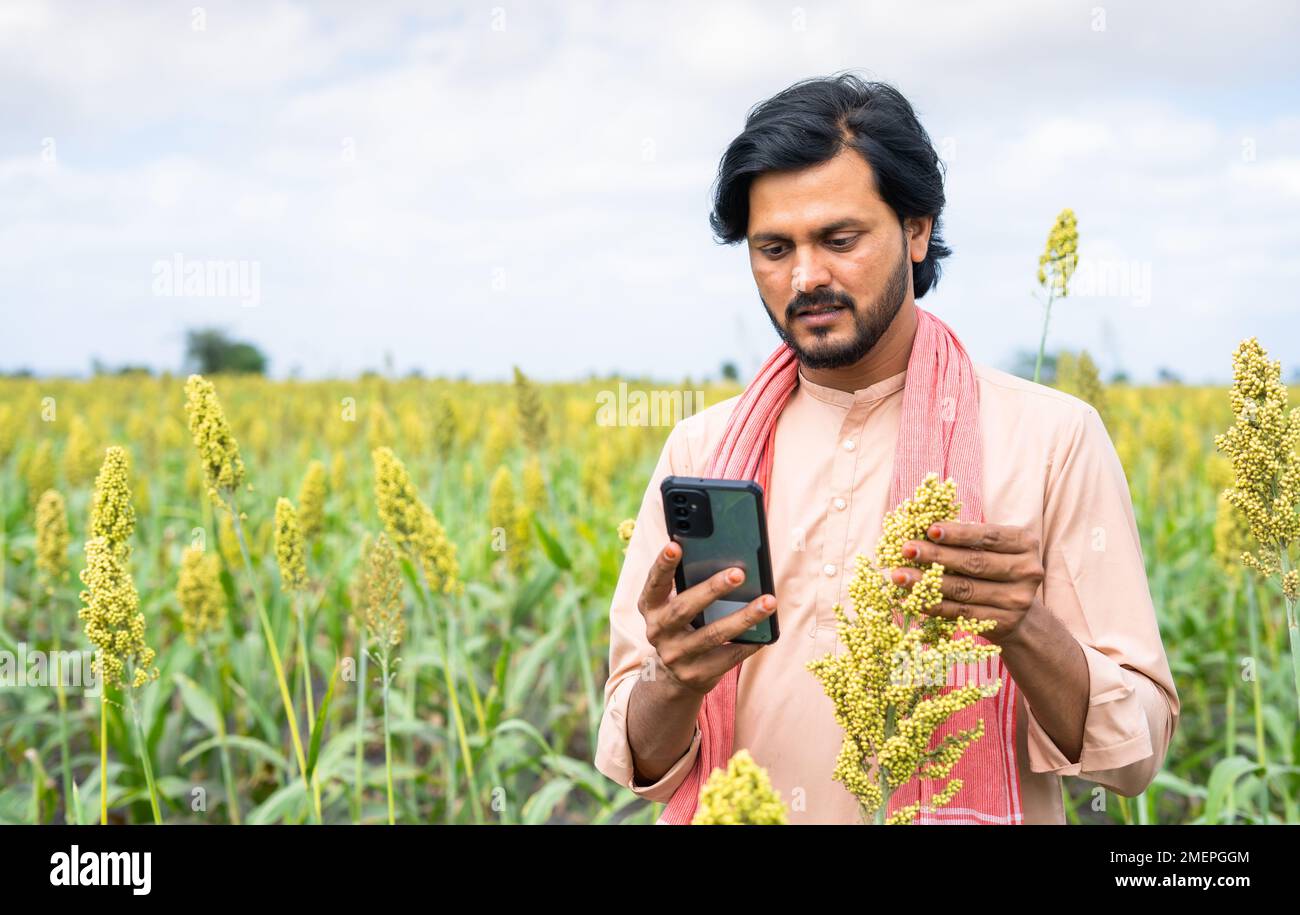 young farmer checking crop or pests details using using mobile phone at farmland - concept of analysis,modern agriculture and internet connection. Stock Photo