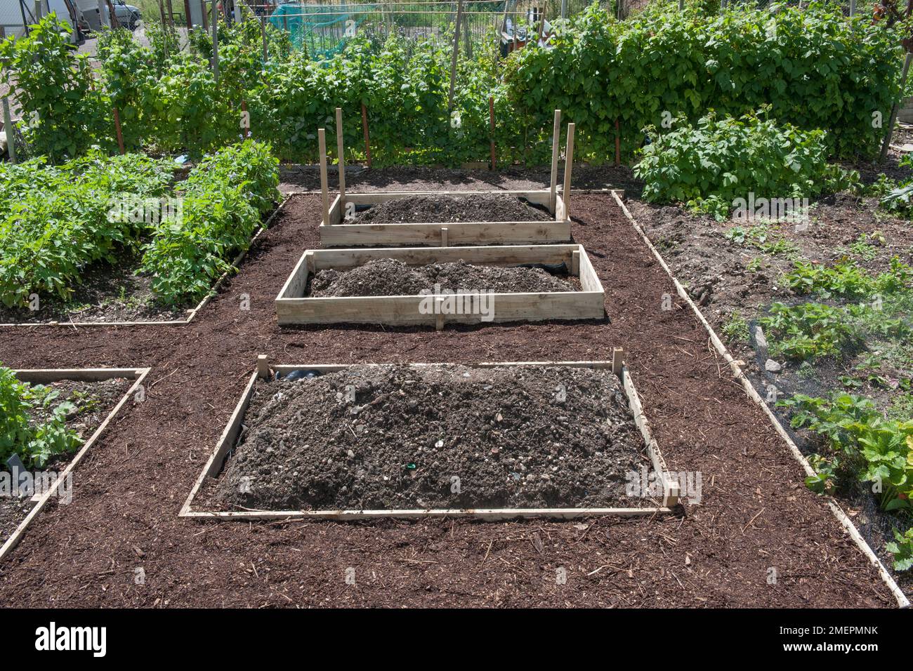 Three raised beds on an allotment Stock Photo - Alamy