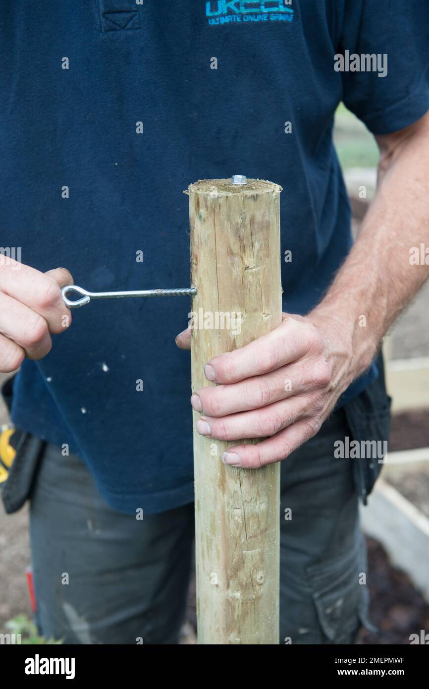 Screwing metal eye hook into wood post Stock Photo Alamy