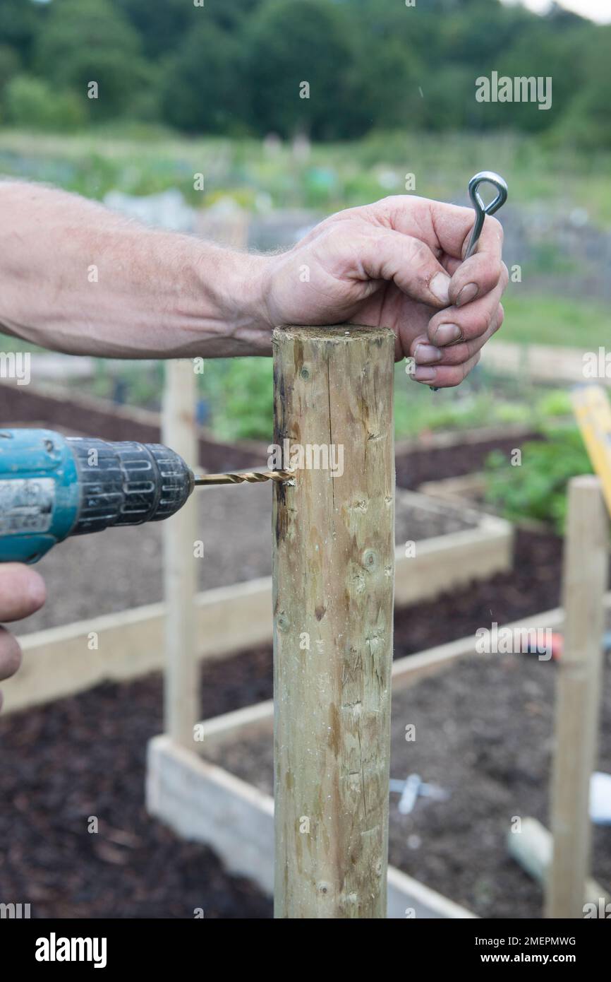 Using drill to fix metal eye hooks to wood post Stock Photo Alamy