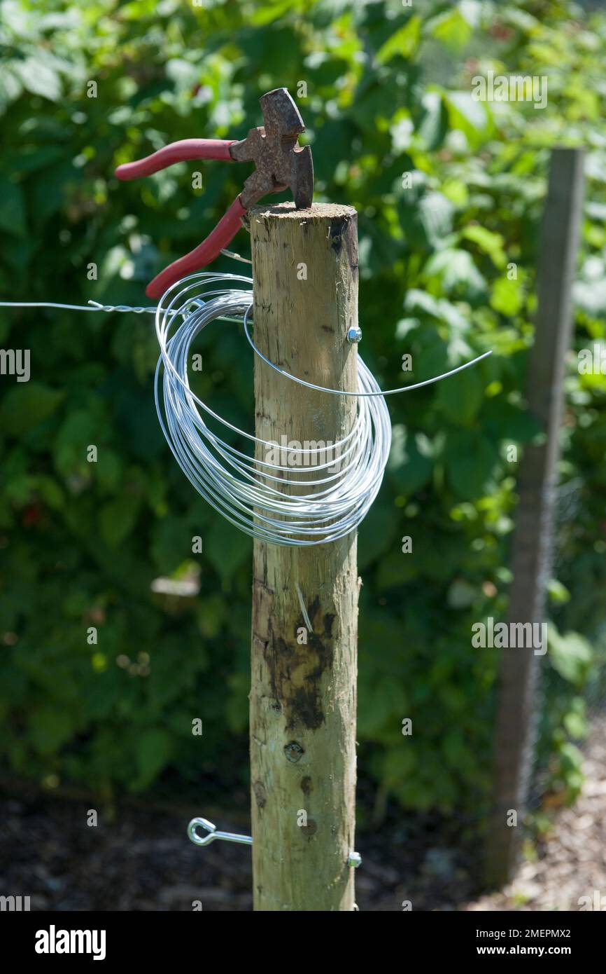 Wire support hi-res stock photography and images - Alamy