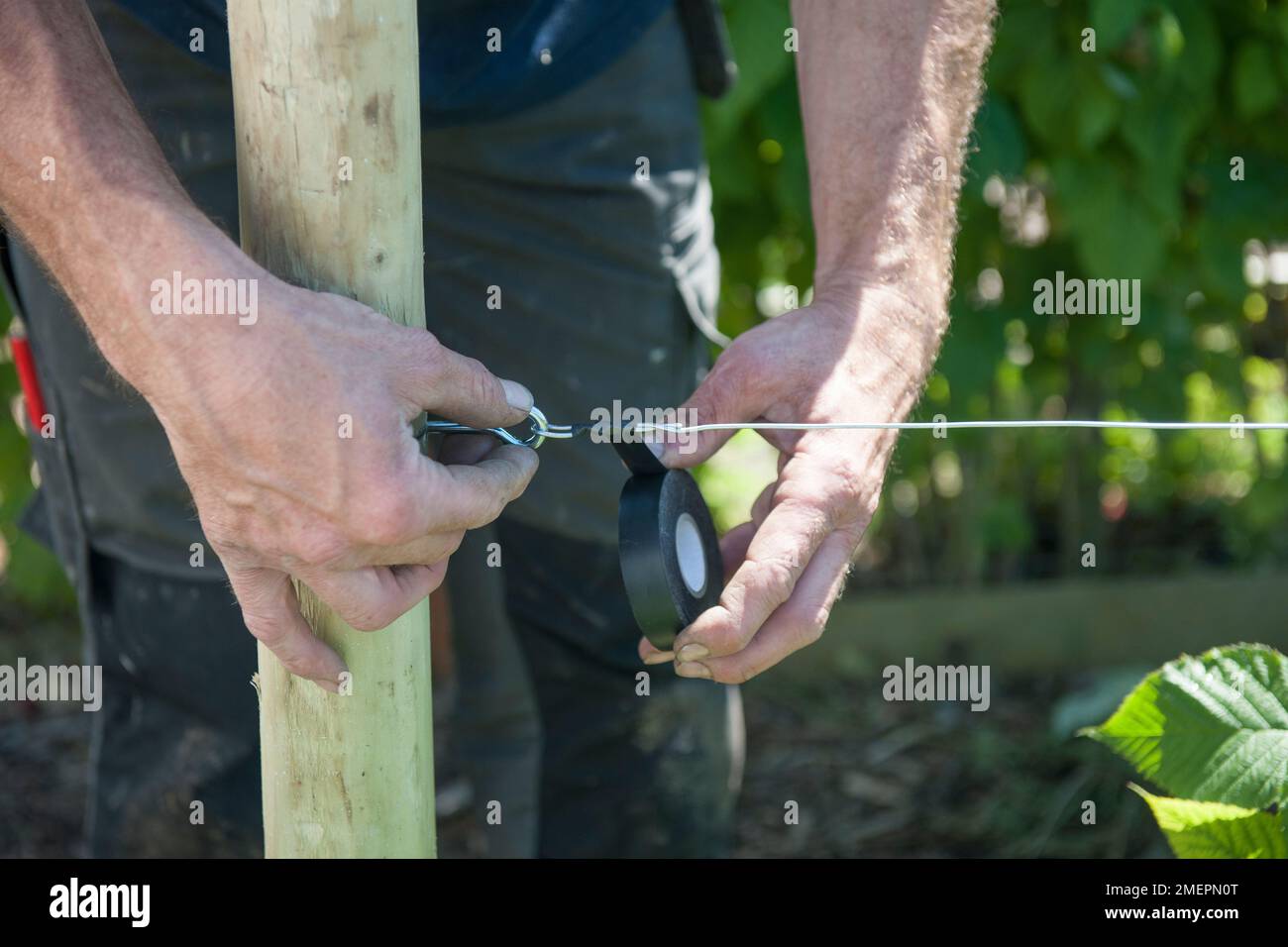 Using black tape to cover rough wire edge, creating wire support Stock Photo