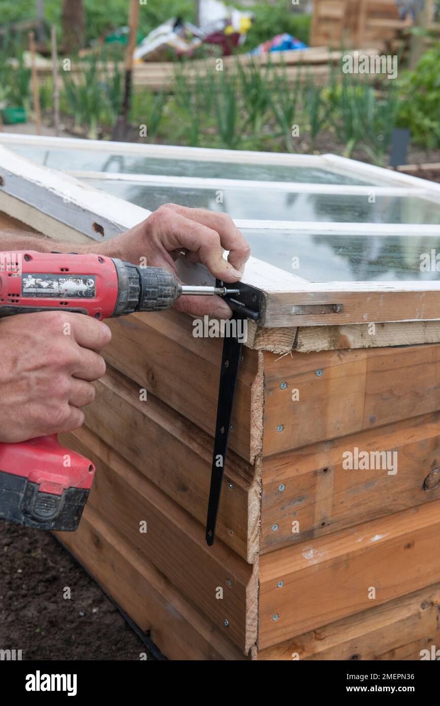 Man constructing a cold frame with a drill Stock Photo