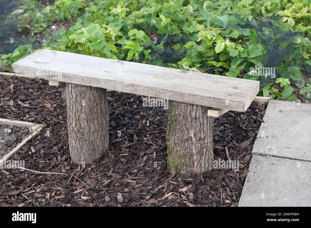 Garden bench seat constructed from two logs and a plank of wood Stock