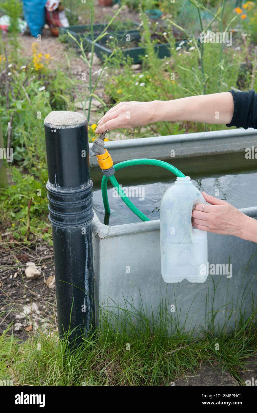 Hose and water tank on allotment Stock Photo Alamy