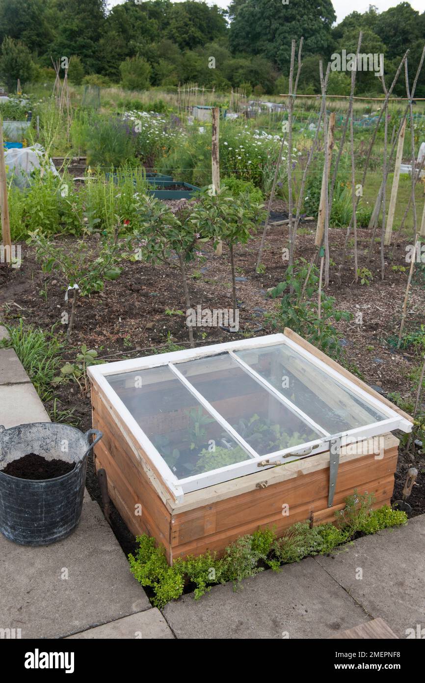 Cold frame on allotment Stock Photo