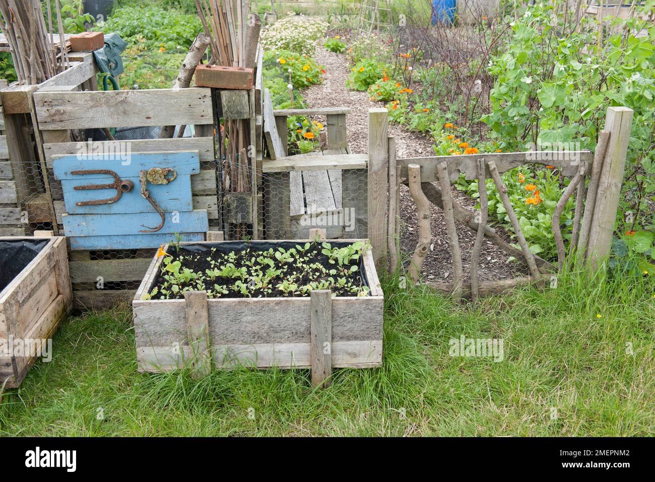 Wooden planter and gate on allotment Stock Photo