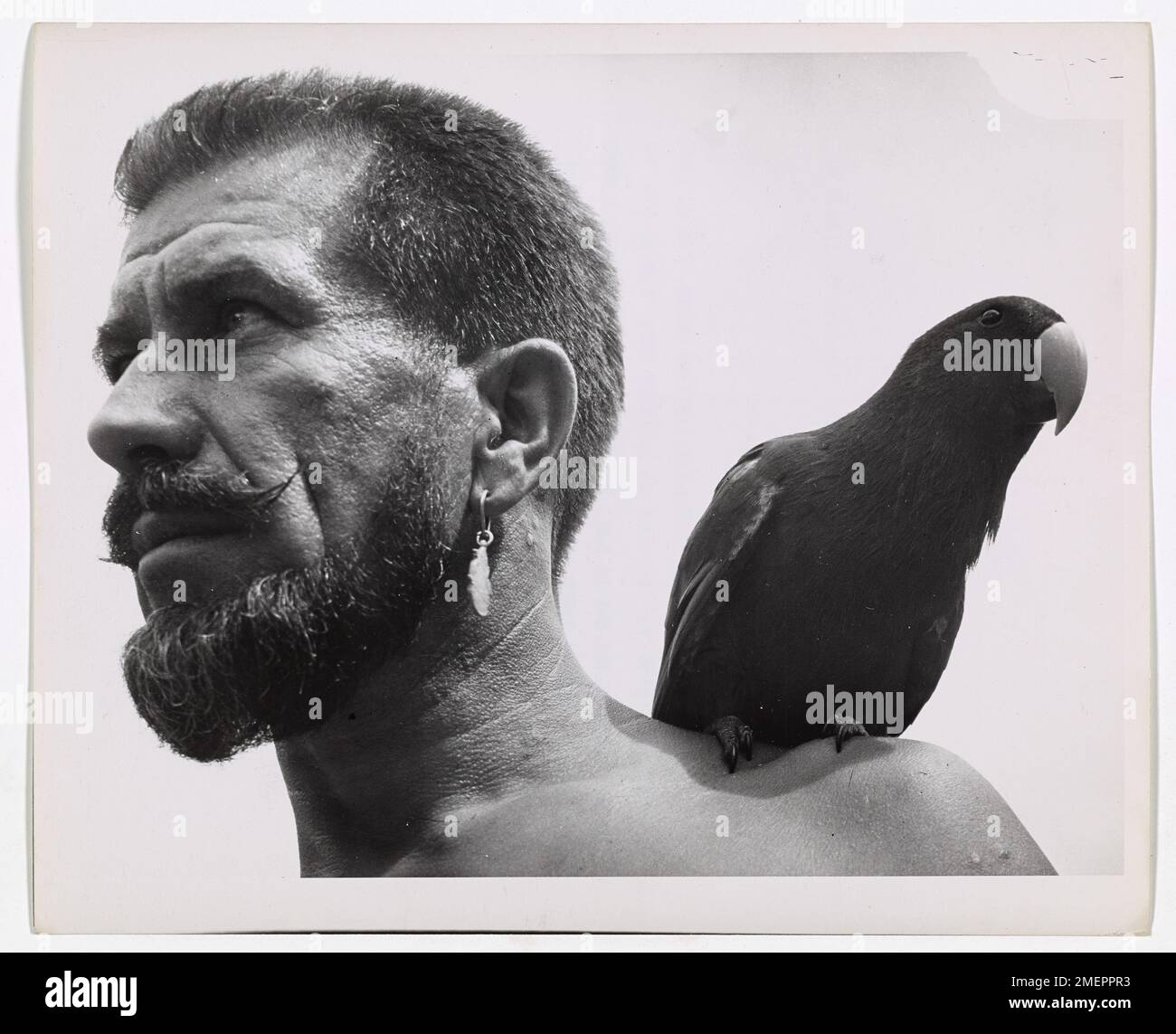 Shades of the Windjammer Days!. Down in the Southwest Pacific, parrots vie with dogs as mascots