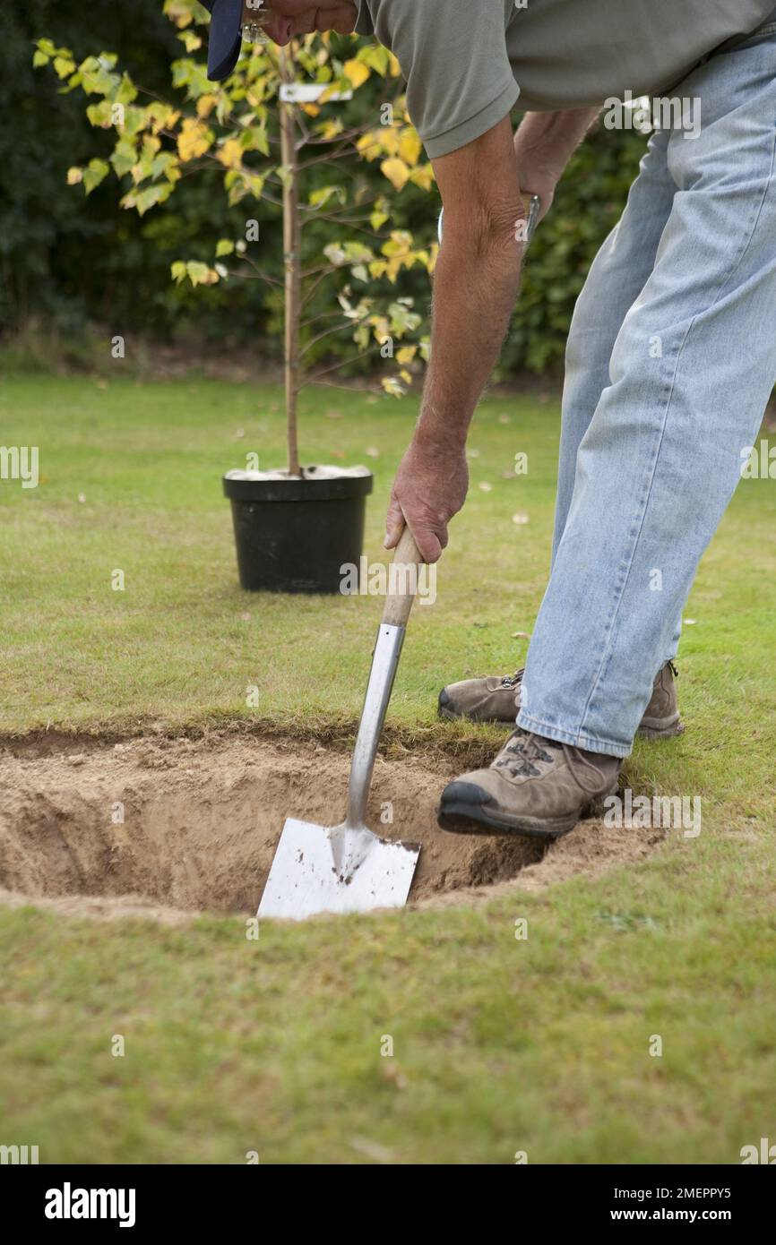 Digging A Whole