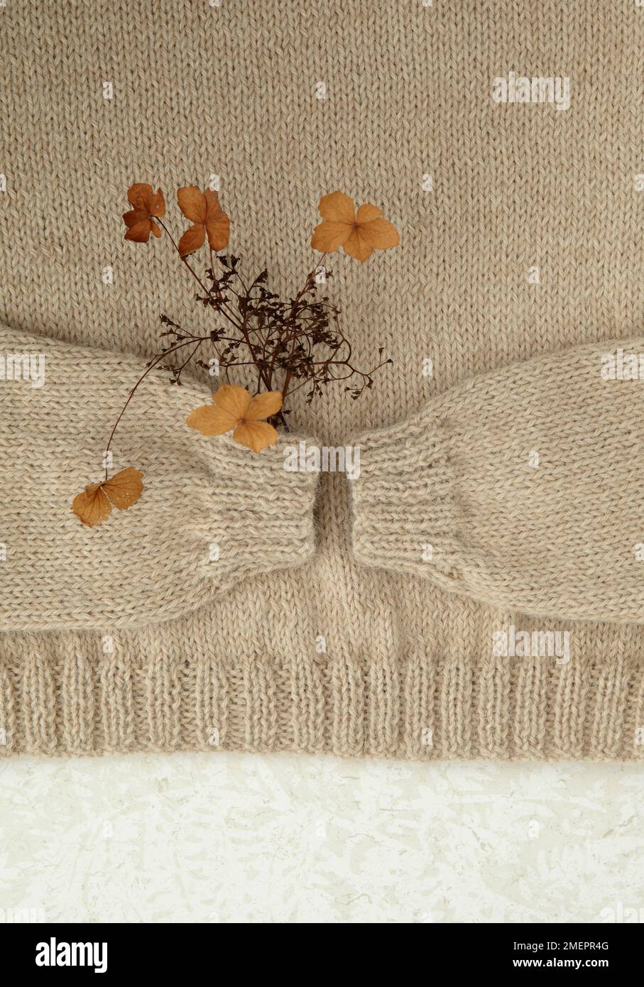Beige alpaca sweater with flowers tucked under one of the sleeves Stock Photo