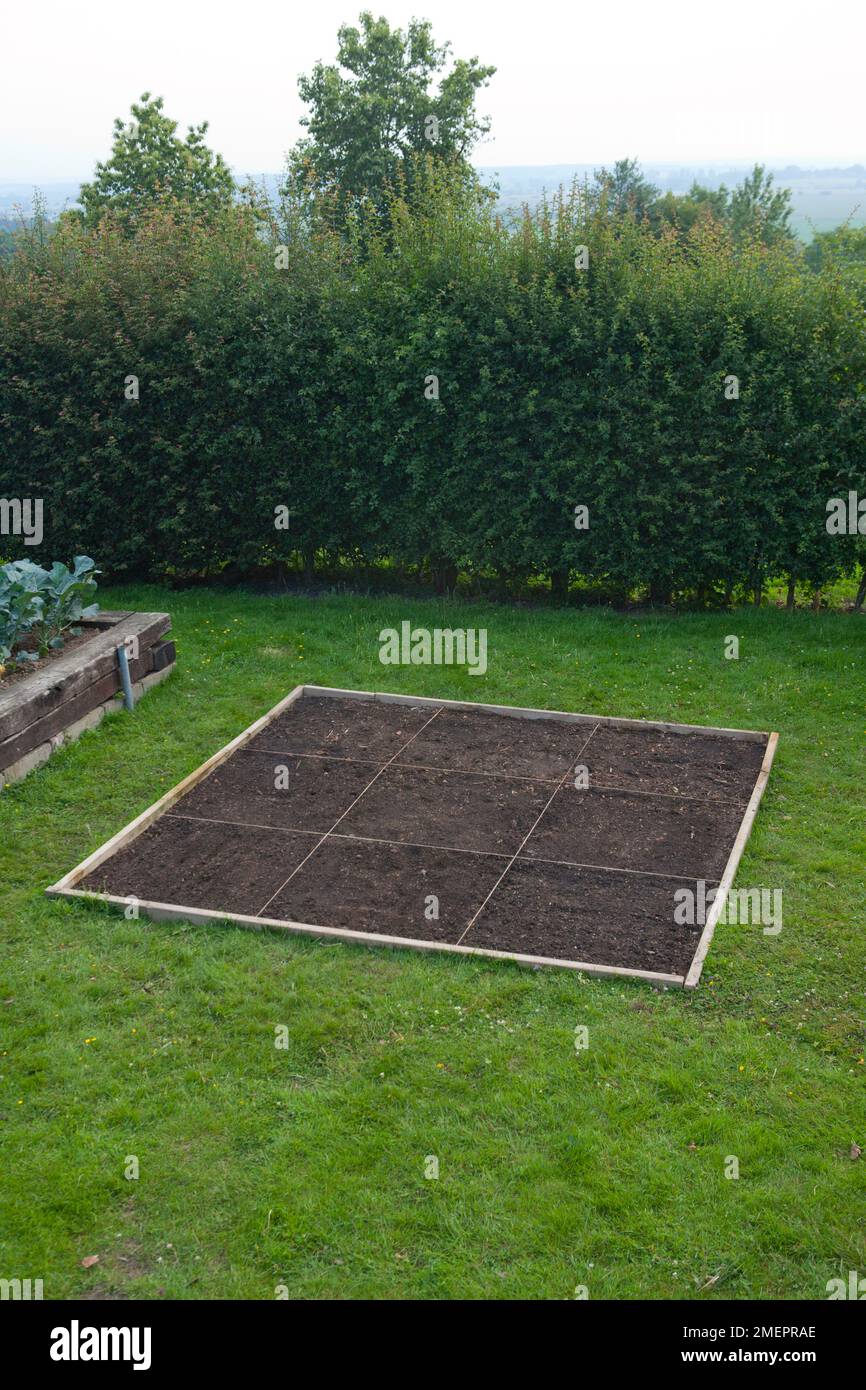 Vegetable garden divided into sections using twine Stock Photo Alamy