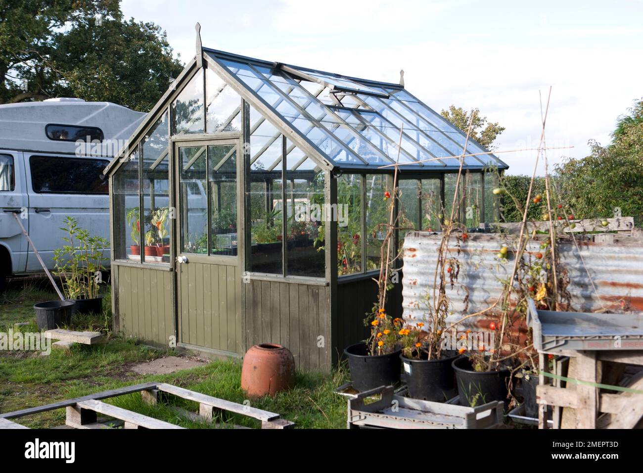 Greenhouse, end of season tomatoes in pots, and campervan in background Stock Photo