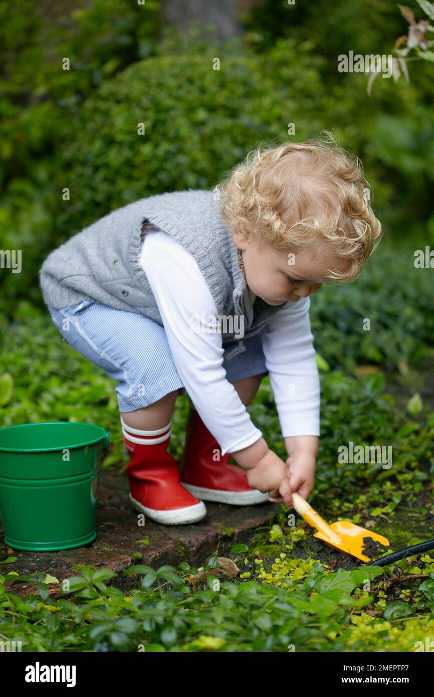 Boy bending to lift soil with spade, 2 years 4 months Stock Photo - Alamy