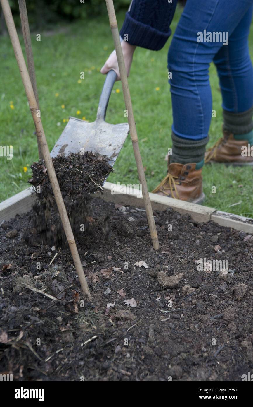 Cultivating the soil, soil improver, adding garden compost to the