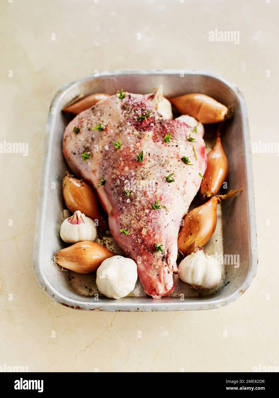 Leg of lamb studded with rosemary, in roasting pan Stock Photo Alamy