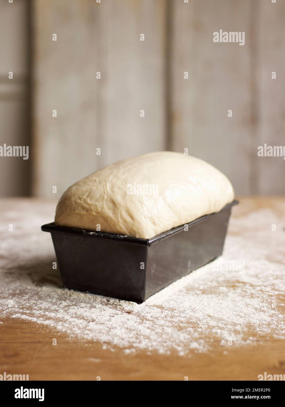 Risen bread dough in loaf tin Stock Photo Alamy