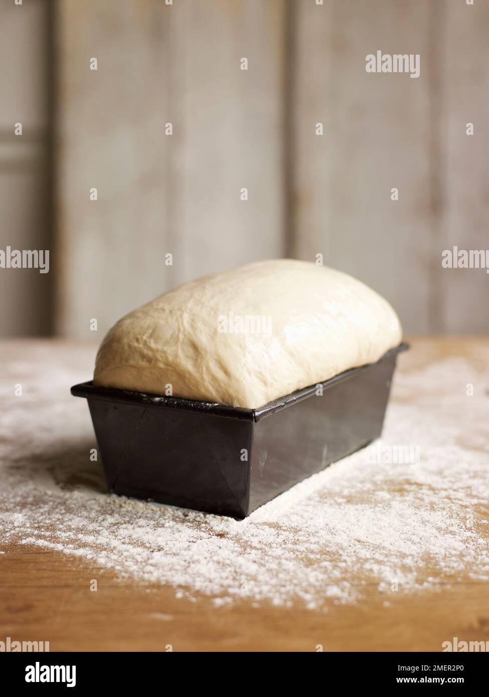 https://c8.alamy.com/comp/2MER2P0/risen-bread-dough-in-loaf-tin-2MER2P0.jpg