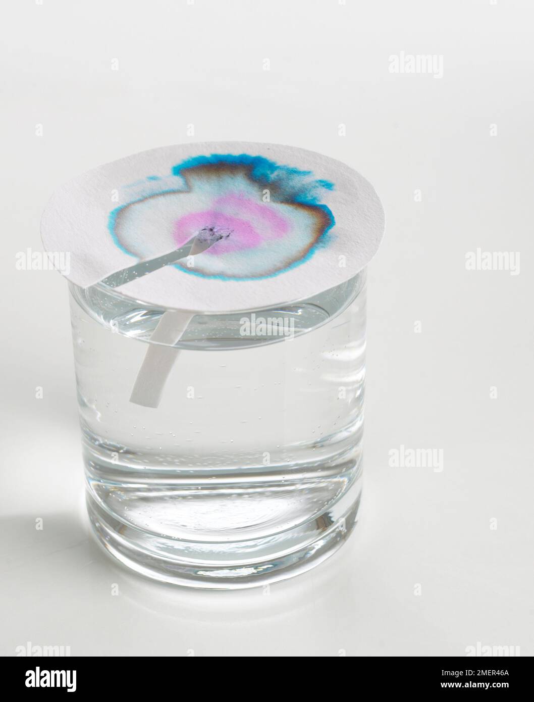 Colour spreading on litmus paper which is placed on top of glass of