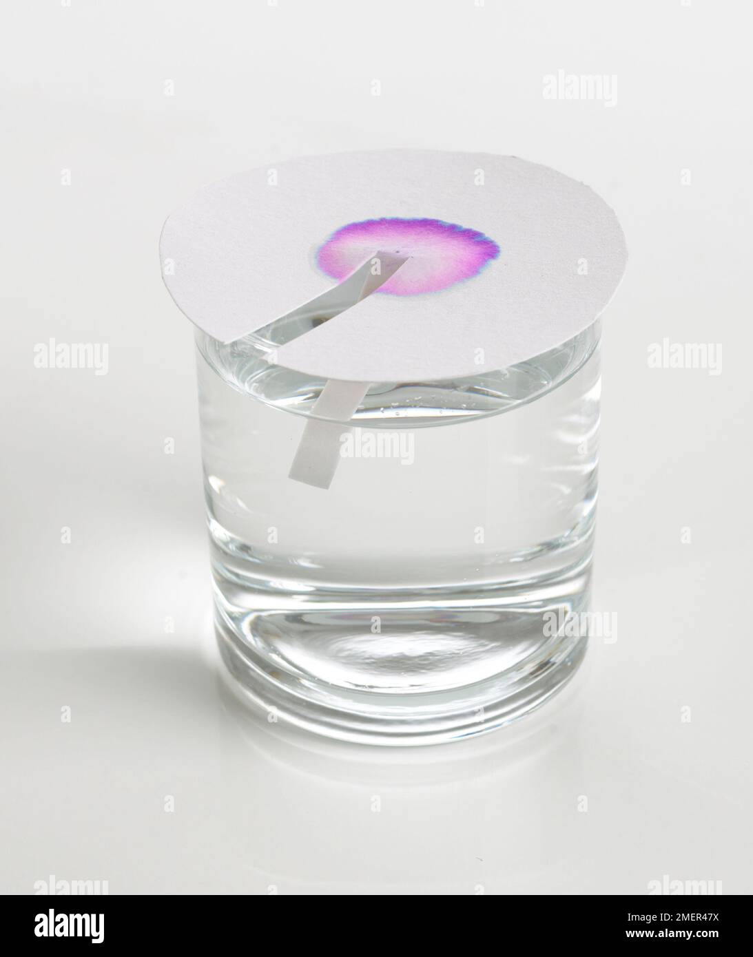 Colour spreading on litmus paper which is placed on top of glass of