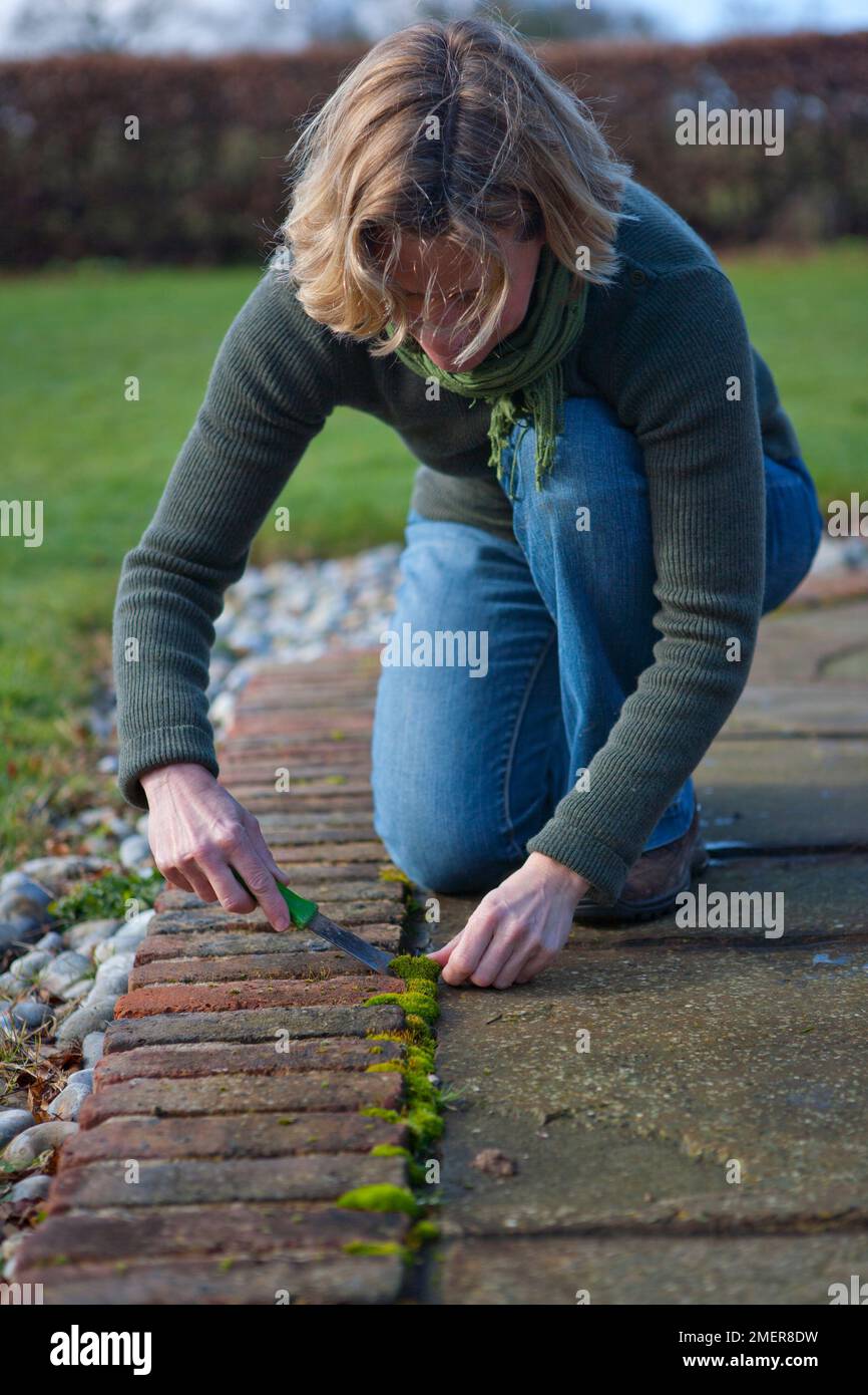 Removing moss from a path Stock Photo Alamy