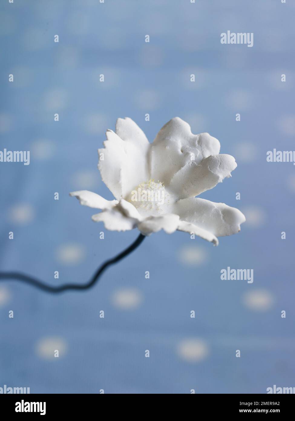 Plaster of paris craft hi-res stock photography and images - Alamy