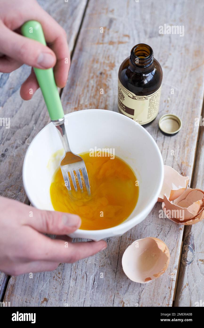 Whisking egg and adding vanilla, making brownies Stock Photo Alamy