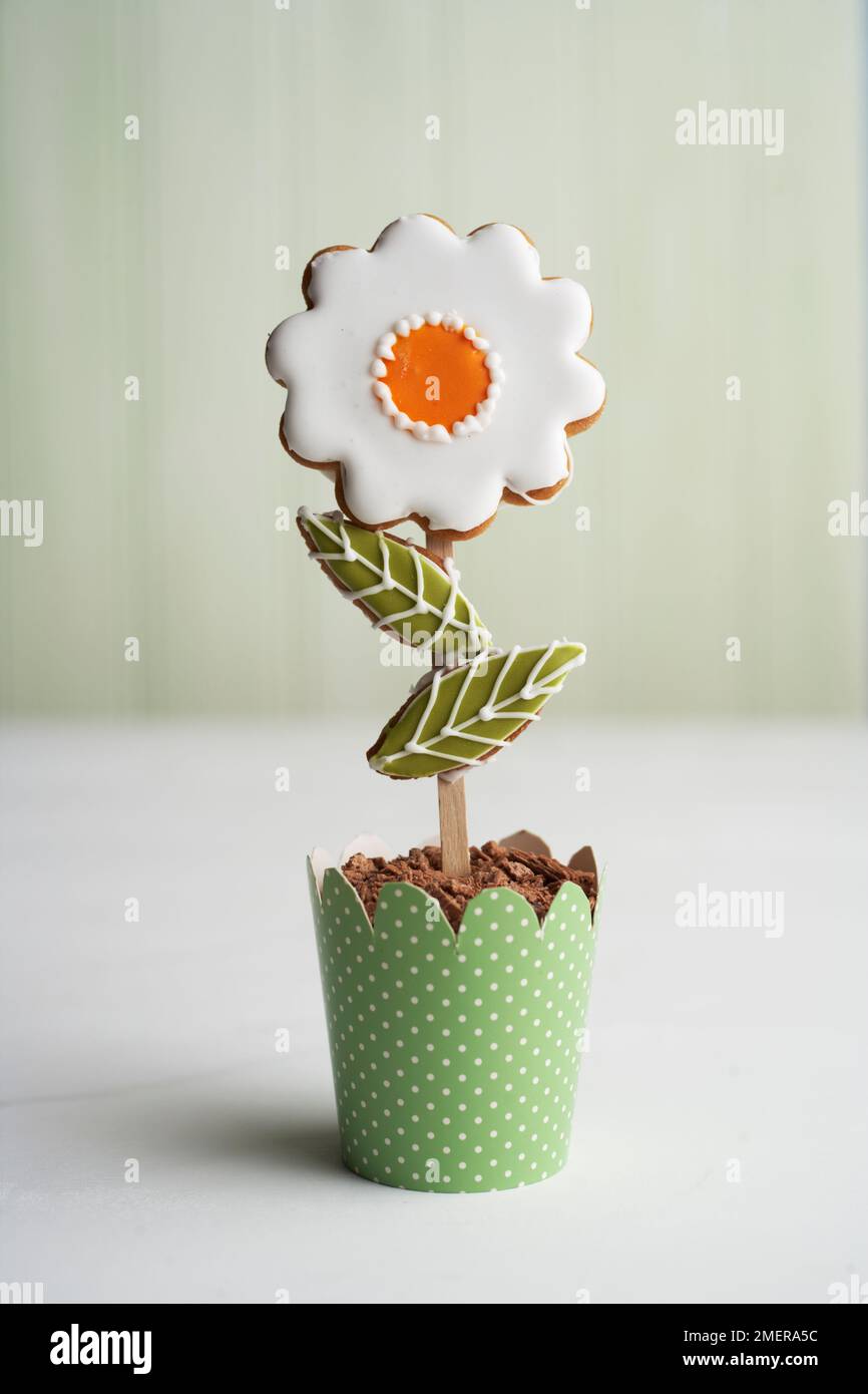 Flowerpot cake Stock Photo