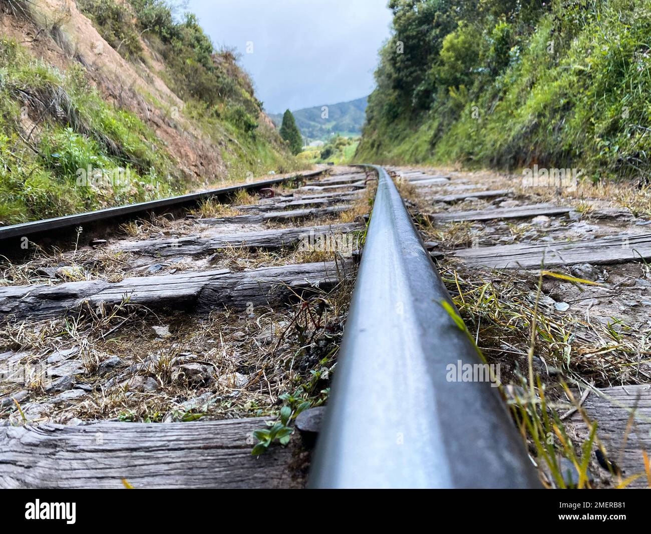Rail, Colombia. Stock Photo