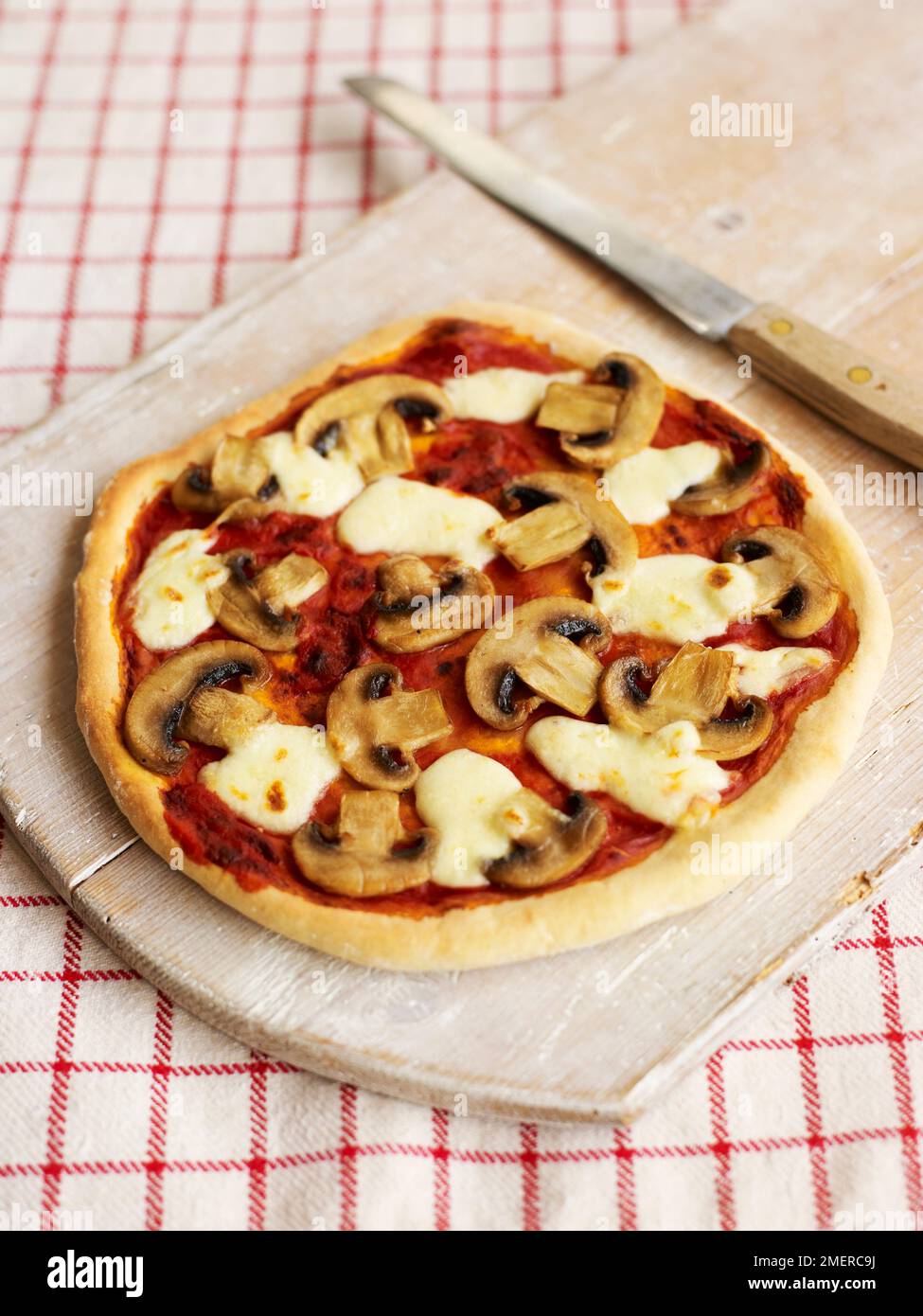 Mushroom and mozzarella pizza Stock Photo Alamy