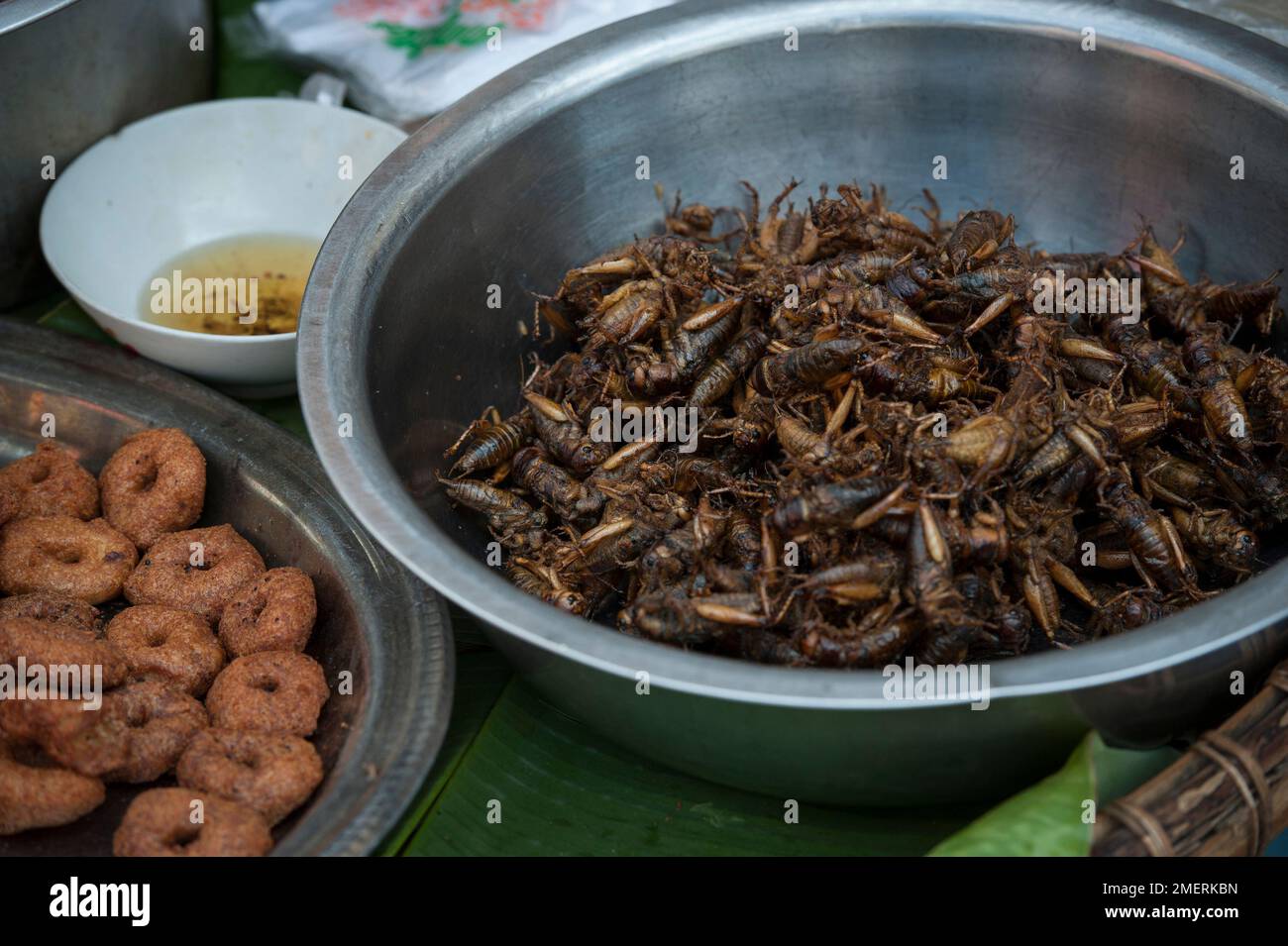 Myanmar, Mandalay region, Mandalay, Zegyo Market, street food - crickets Stock Photo