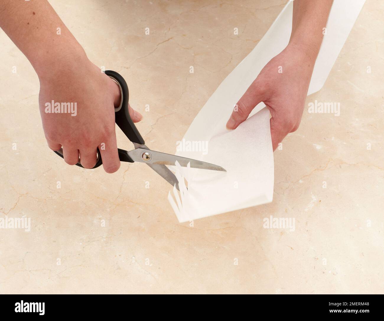 Cutting greaseproof paper ready to line a cake tin Stock Photo Alamy