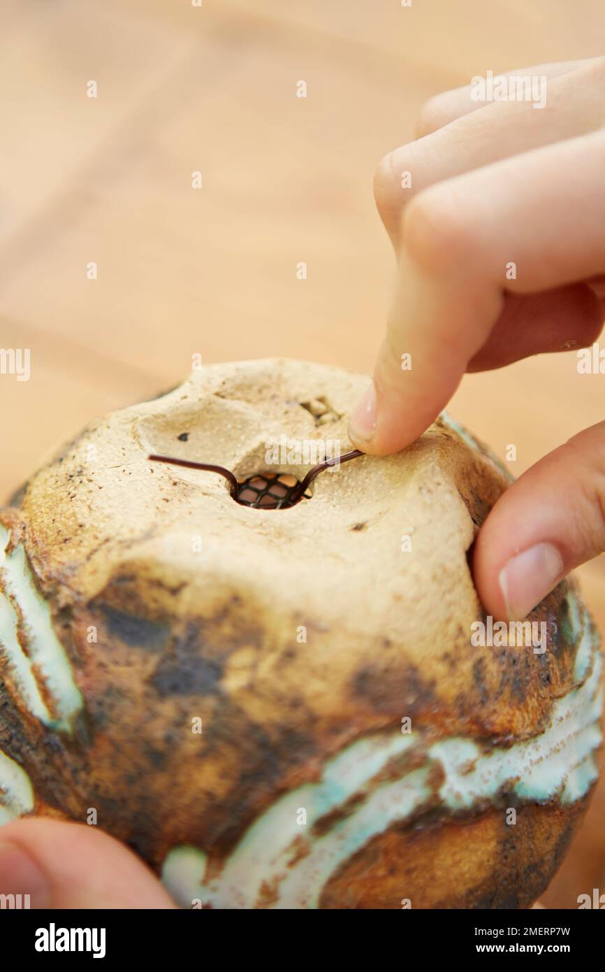 Instant bonsai, fixing mesh over drainage hole with wire Stock Photo - Alamy