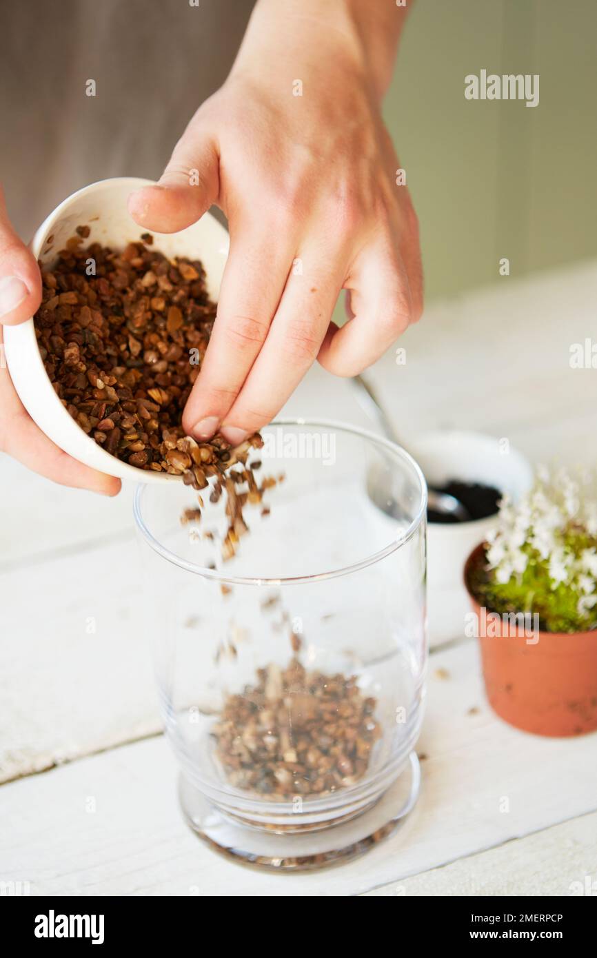 Terrarium, adding gravel to base for drainage Stock Photo Alamy