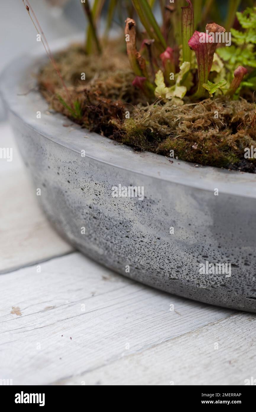 Concrete plant container Stock Photo Alamy