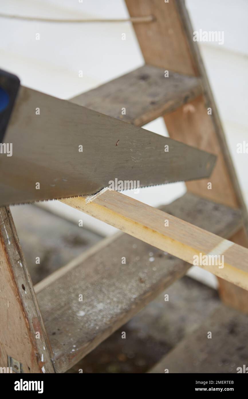 Sawing wood for shelf of step ladder planter Stock Photo