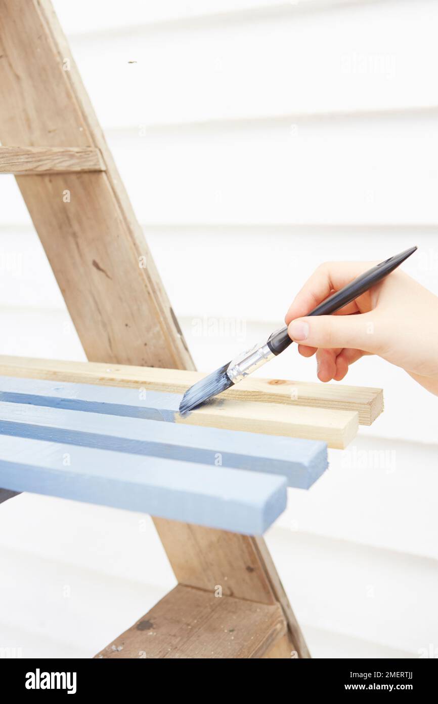 Painting shelves of step ladder planter Stock Photo Alamy
