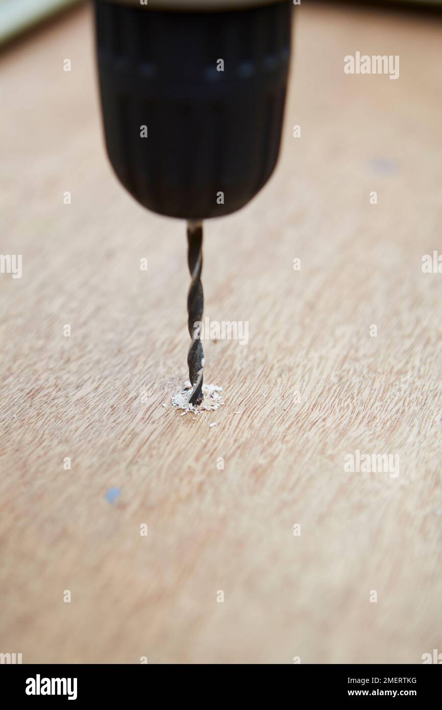 Drilling hole in plywood Stock Photo Alamy