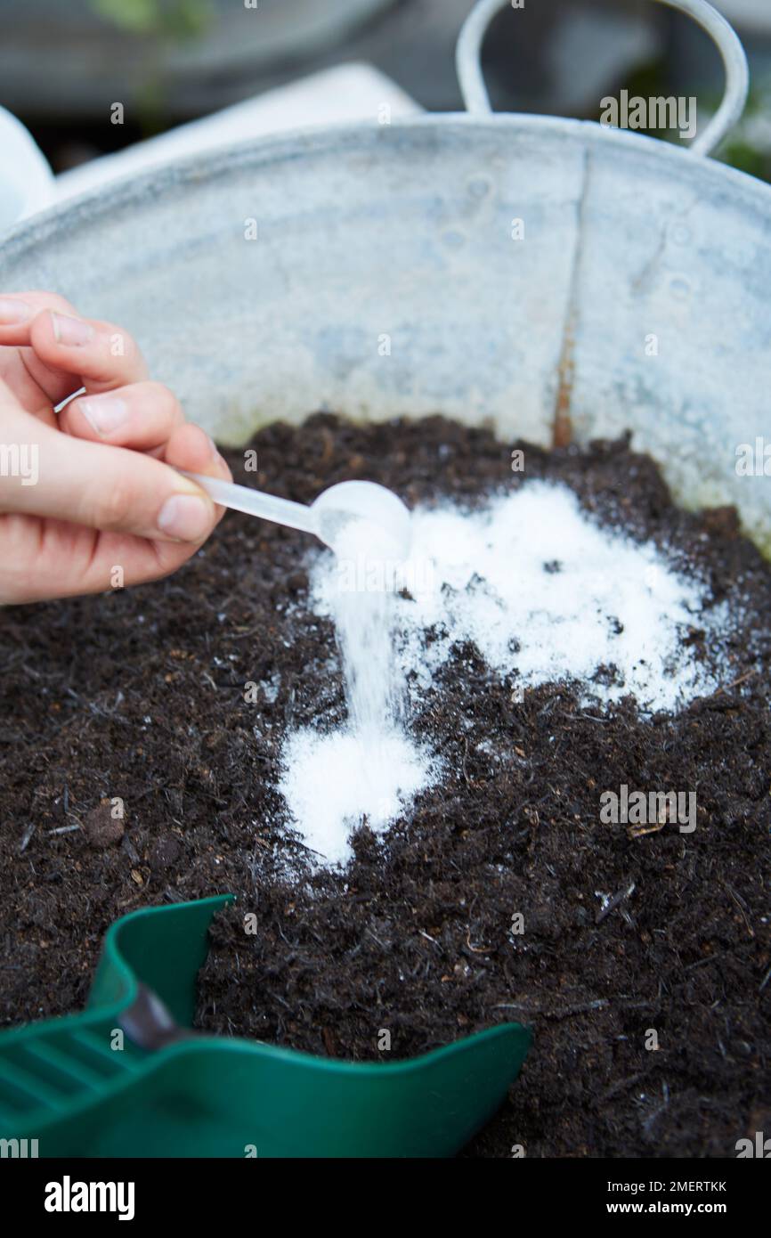 Adding waterretaining gel to soil Stock Photo Alamy