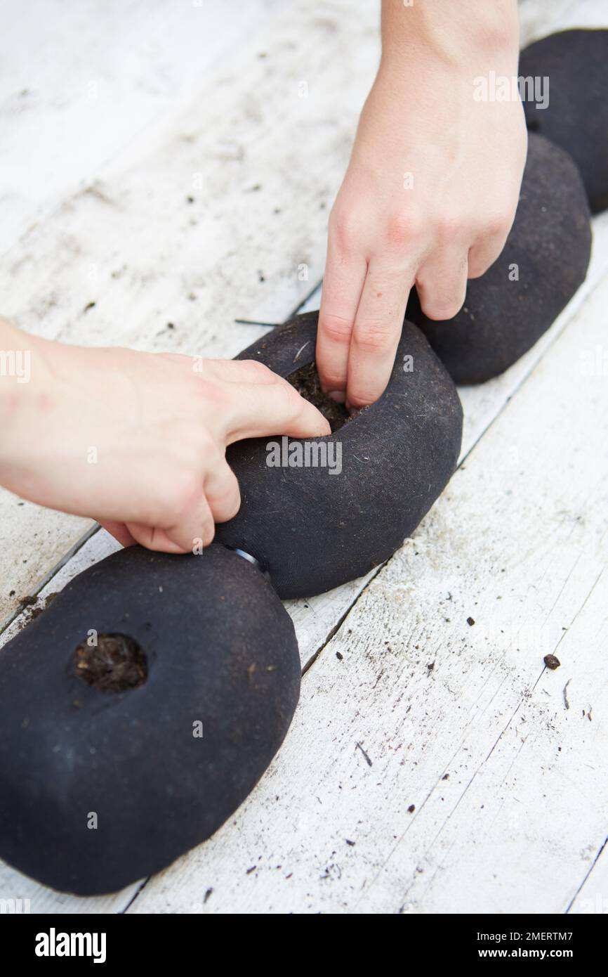 Making holes in soil hi res stock photography and images Alamy