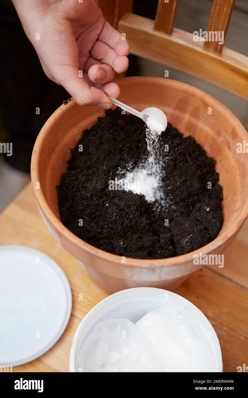 Adding waterretaining gel to pot of soil Stock Photo Alamy