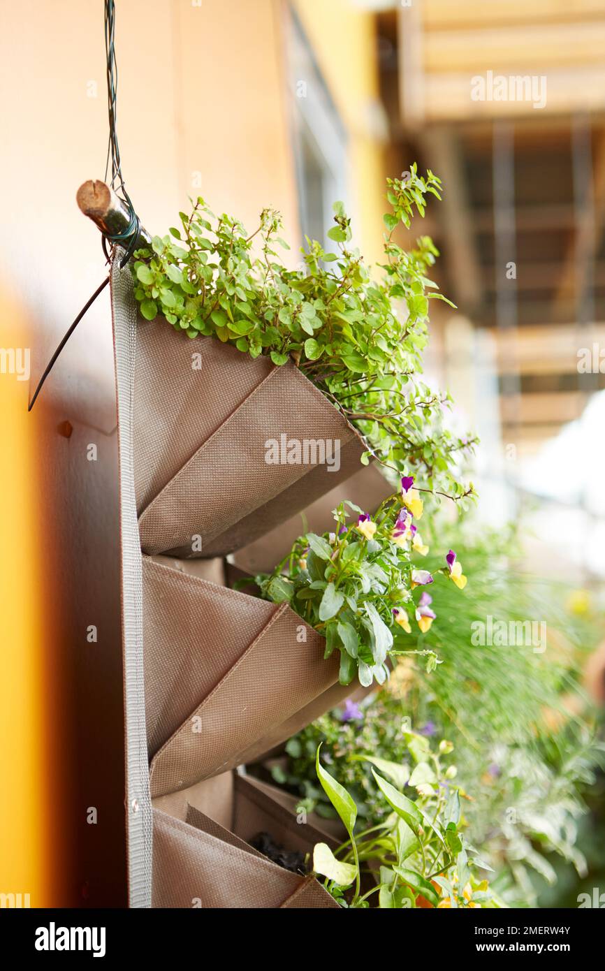 Fabric pocket planters filled with plants on balcony Stock Photo