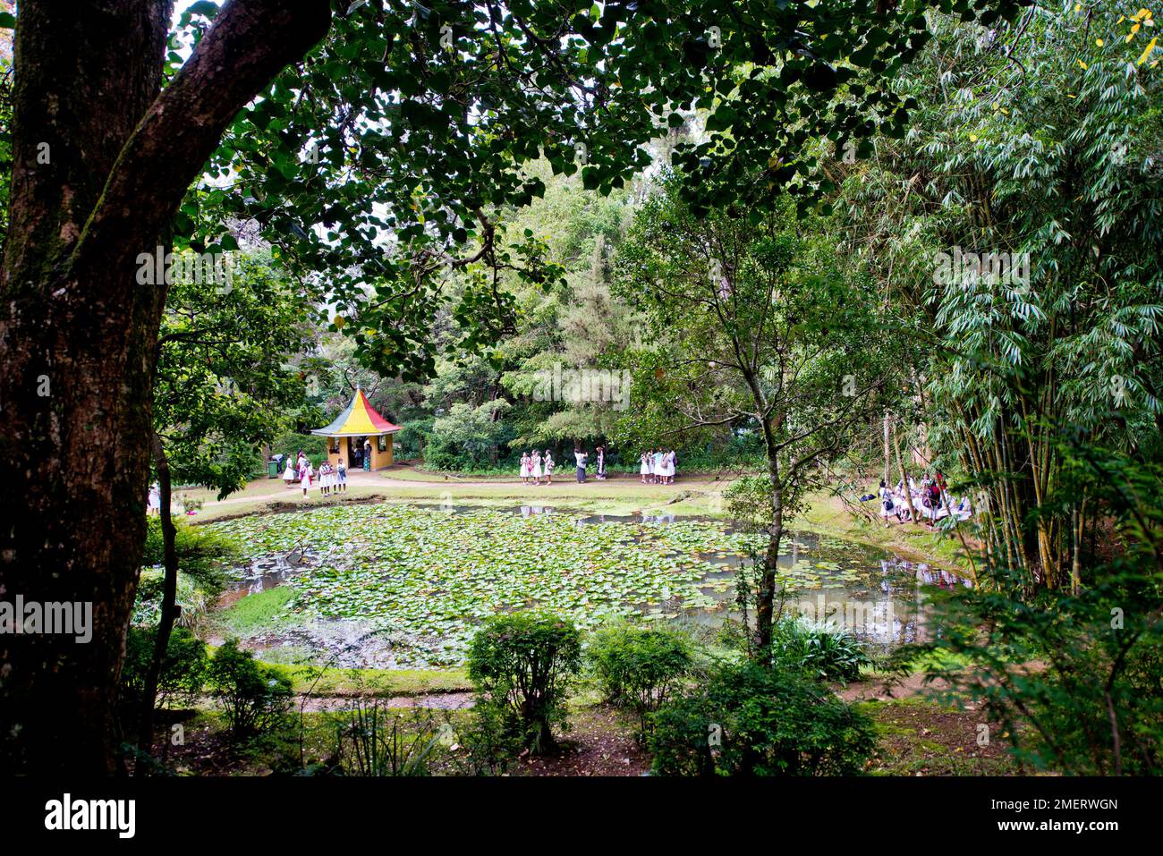 Sri Lanka, pond in park Stock Photo
